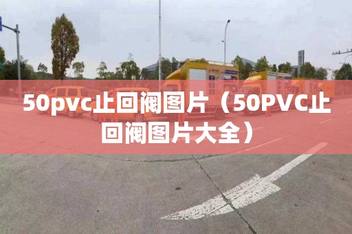 50pvc止回阀图片（50PVC止回阀图片大全）