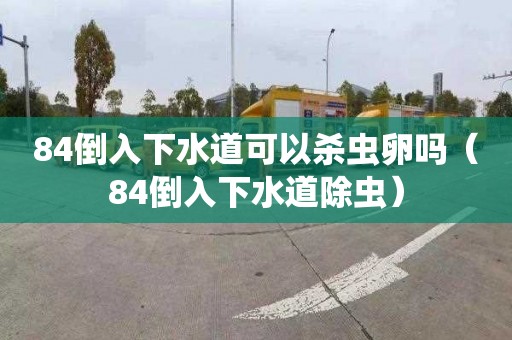 84倒入下水道可以杀虫卵吗（84倒入下水道除虫）