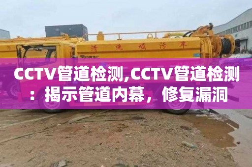 CCTV管道检测,CCTV管道检测：揭示管道内幕，修复漏洞