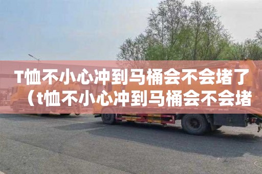 T恤不小心冲到马桶会不会堵了（t恤不小心冲到马桶会不会堵了呢）