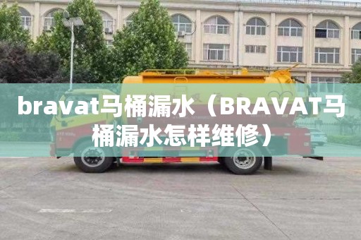 bravat马桶漏水（BRAVAT马桶漏水怎样维修）