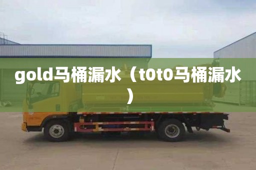 gold马桶漏水（t0t0马桶漏水）