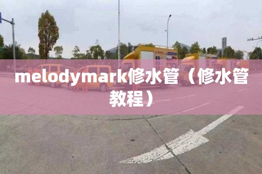 melodymark修水管（修水管教程）