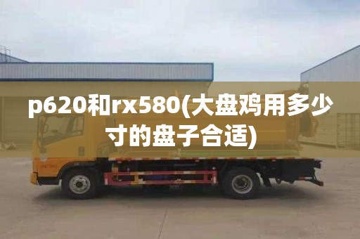 p620和rx580(大盘鸡用多少寸的盘子合适)