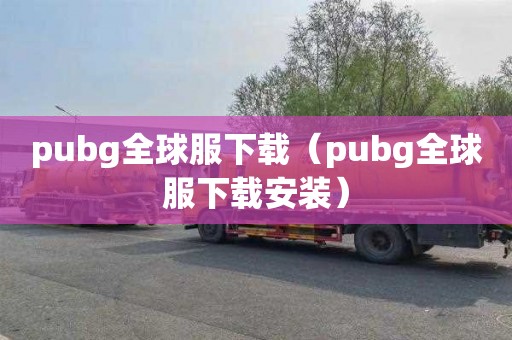 pubg全球服下载（pubg全球服下载安装）