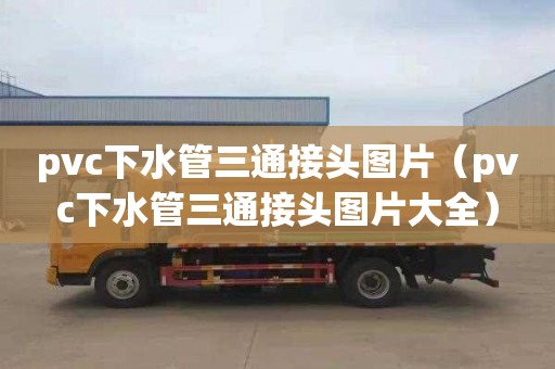 pvc下水管三通接头图片（pvc下水管三通接头图片大全）