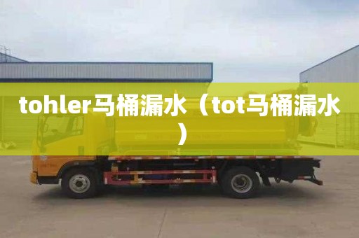 tohler马桶漏水（tot马桶漏水）