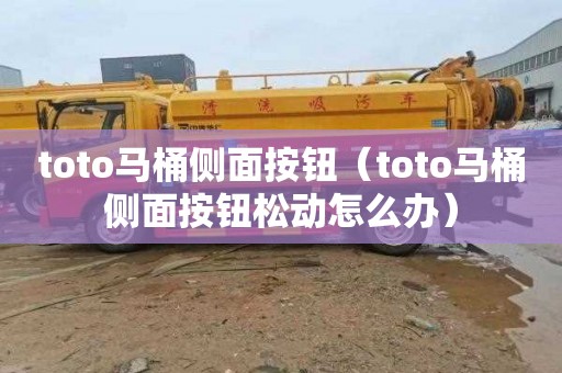 toto马桶侧面按钮（toto马桶侧面按钮松动怎么办）