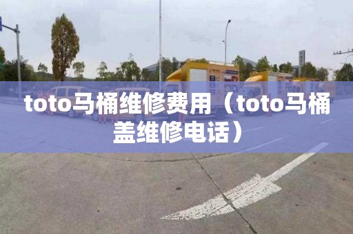 toto马桶维修费用（toto马桶盖维修电话）