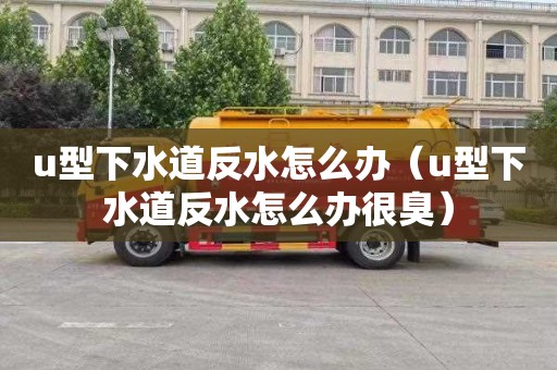 u型下水道反水怎么办（u型下水道反水怎么办很臭）