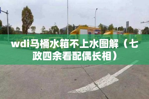 wdi马桶水箱不上水图解（七政四余看配偶长相）