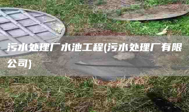 污水处理厂水池工程(污水处理厂有限公司)