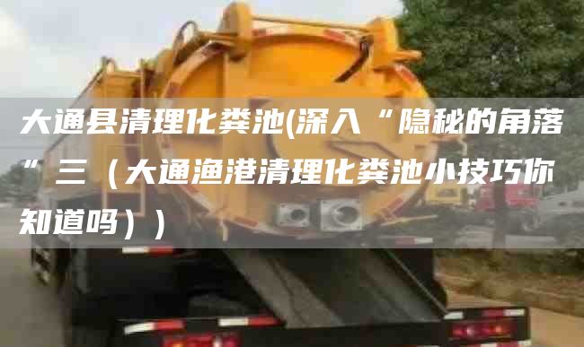 大通县清理化粪池(深入“隐秘的角落”三（大通渔港清理化粪池小技巧你知道吗）)
