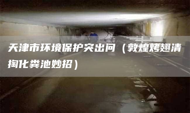 天津市环境保护突出问（敦煌烤翅清掏化粪池妙招）