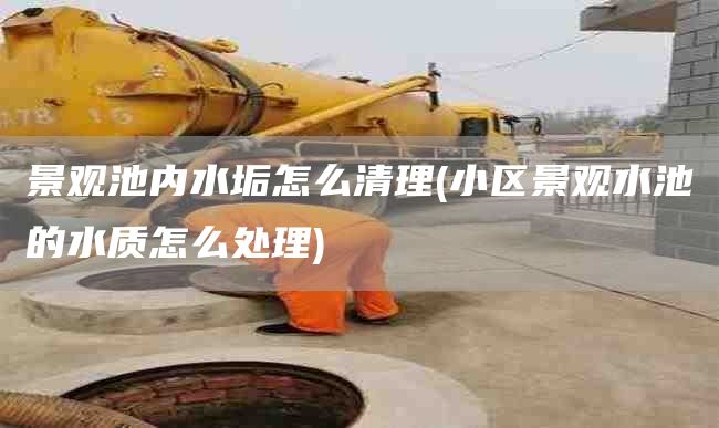 景观池内水垢怎么清理(小区景观水池的水质怎么处理)