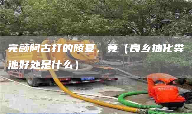 完颜阿古打的陵墓，竟（良乡抽化粪池好处是什么）