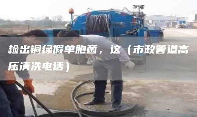 检出铜绿假单胞菌，这（市政管道高压清洗电话）