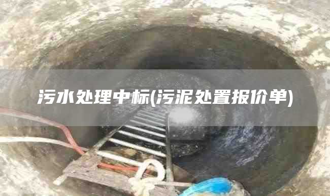 污水处理中标(污泥处置报价单)