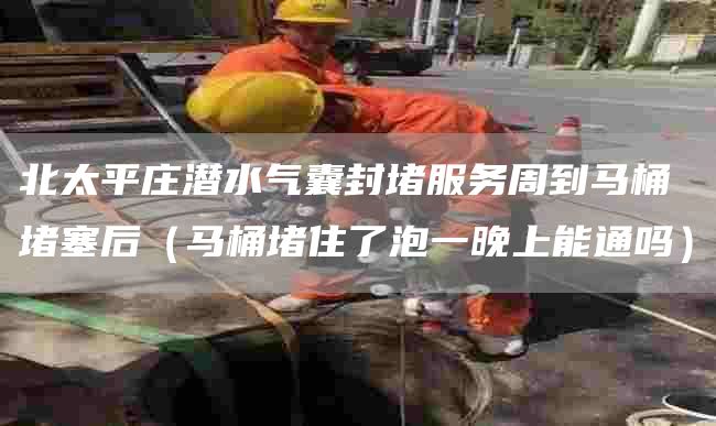北太平庄潜水气囊封堵服务周到马桶堵塞后（马桶堵住了泡一晚上能通吗）
