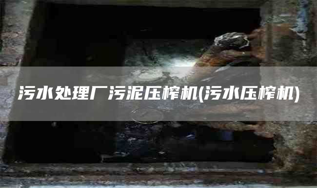 污水处理厂污泥压榨机(污水压榨机)