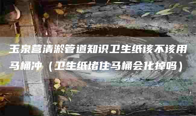 玉泉营清淤管道知识卫生纸该不该用马桶冲（卫生纸堵住马桶会化掉吗）