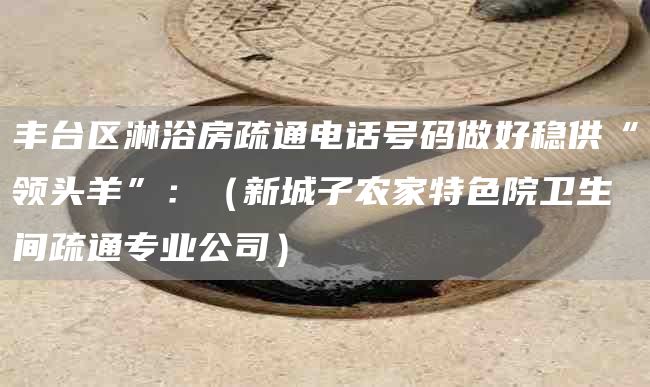 丰台区淋浴房疏通电话号码做好稳供“领头羊”：（新城子农家特色院卫生间疏通专业公司