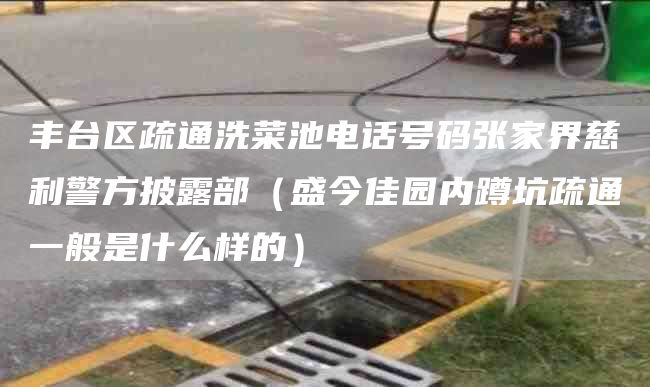 丰台区疏通洗菜池电话号码张家界慈利警方披露部（盛今佳园内蹲坑疏通一般是什么样的）