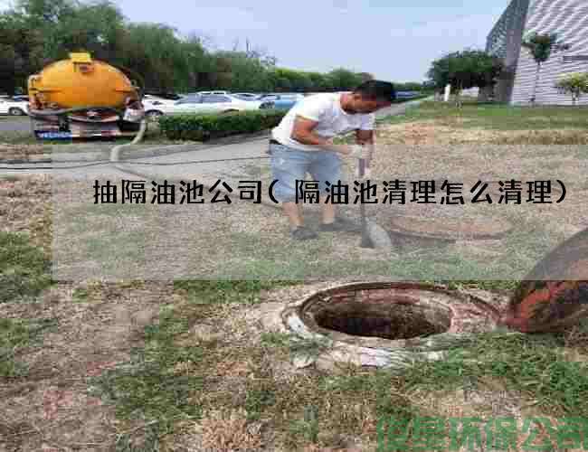 抽隔油池公司(隔油池清理怎么清理)