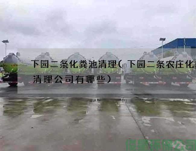 下园二条化粪池清理(下园二条农庄化粪池清理公司有哪些)