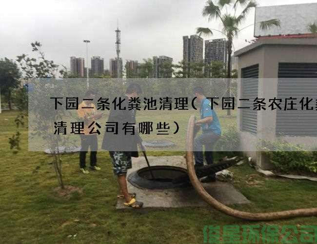 下园二条化粪池清理(下园二条农庄化粪池清理公司有哪些)