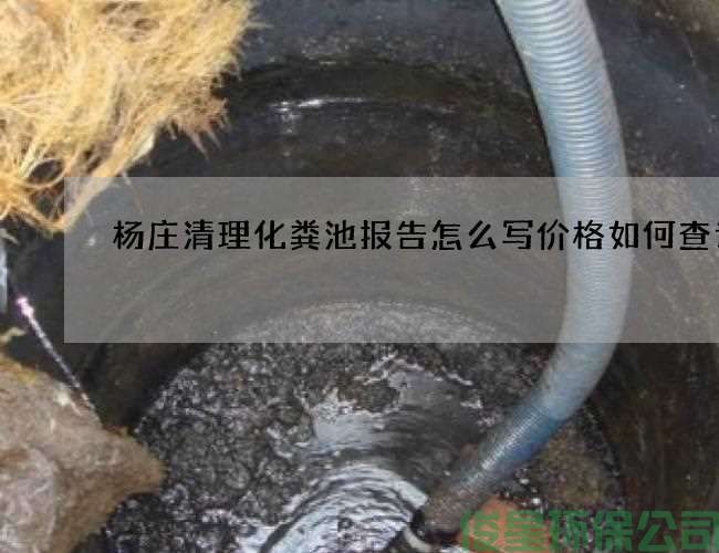 杨庄清理化粪池报告怎么写价格如何查询