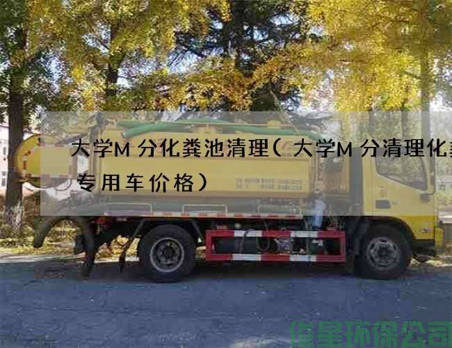 大学M分化粪池清理(大学M分清理化粪池专用车价格)