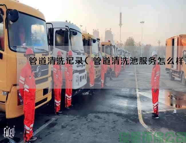 管道清洗记录(管道清洗池服务怎么样)