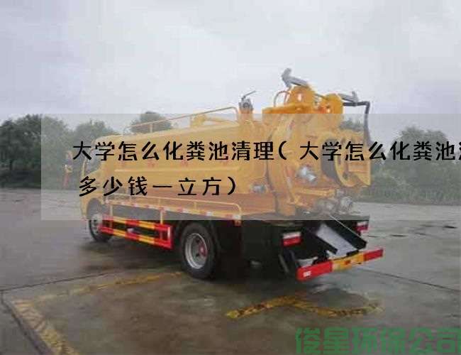 大学怎么化粪池清理(大学怎么化粪池清掏多少钱一立方)