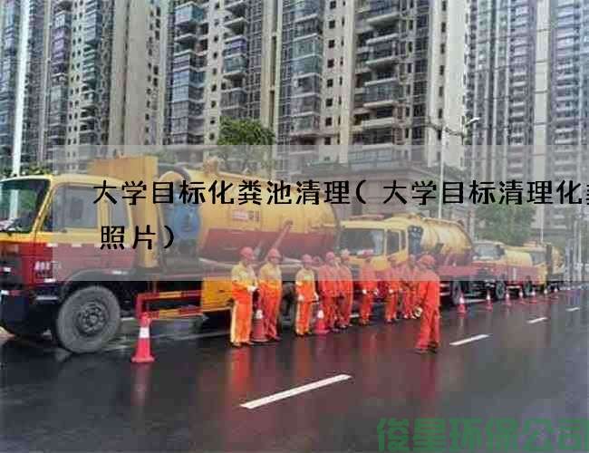 大学目标化粪池清理(大学目标清理化粪池照片)