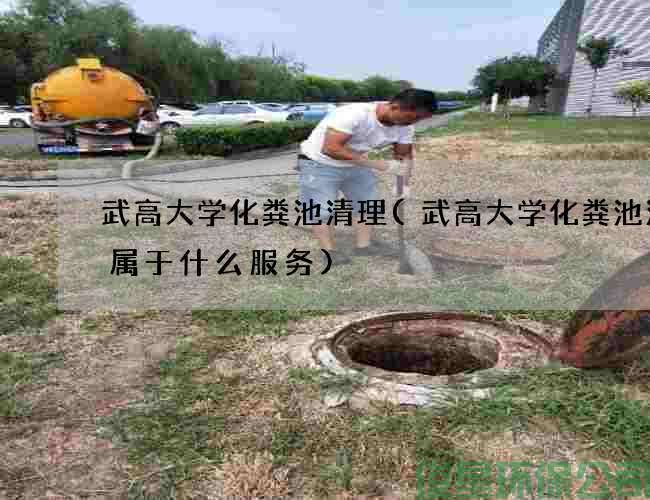 武高大学化粪池清理(武高大学化粪池清掏属于什么服务)