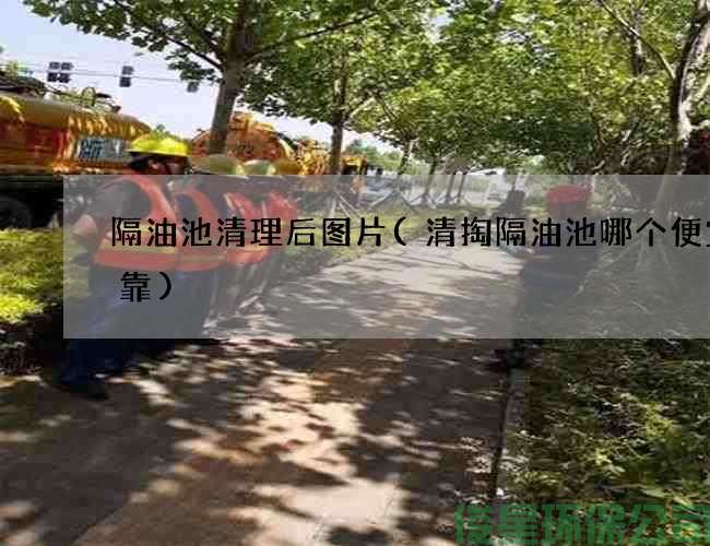 隔油池清理后图片(清掏隔油池哪个便宜可靠)