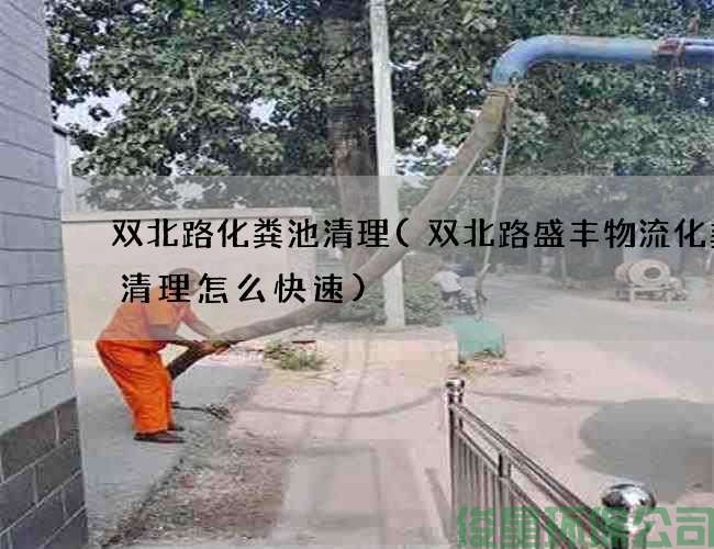 双北路化粪池清理(双北路盛丰物流化粪池清理怎么快速)
