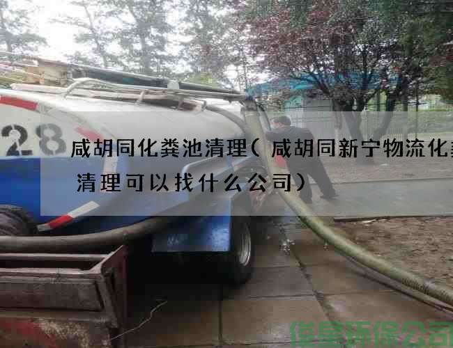 咸胡同化粪池清理(咸胡同新宁物流化粪池清理可以找什么公司)