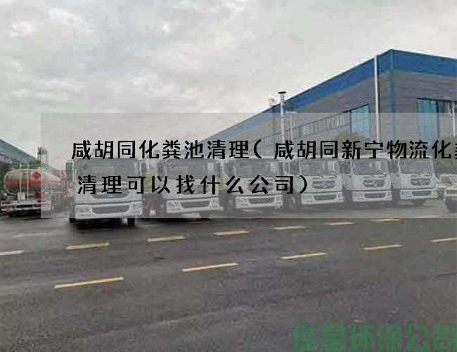 咸胡同化粪池清理(咸胡同新宁物流化粪池清理可以找什么公司)