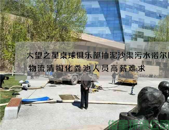 大望之星桌球俱乐部抽泥沙渠污水诺尔国际物流清掏化粪池人员高薪难求