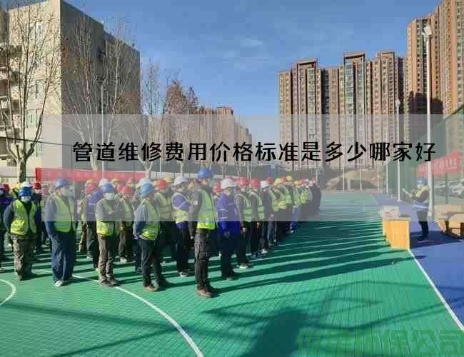 管道维修费用价格标准是多少哪家好