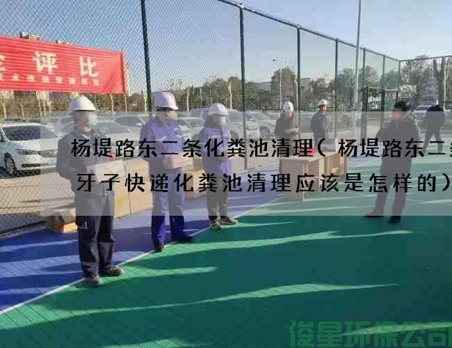 杨堤路东二条化粪池清理(杨堤路东二条皮牙子快递化粪池清理应该是怎样的)