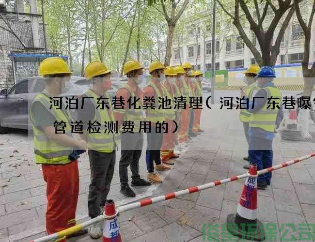 河泊厂东巷化粪池清理(河泊厂东巷曝气池管道检测费用的)