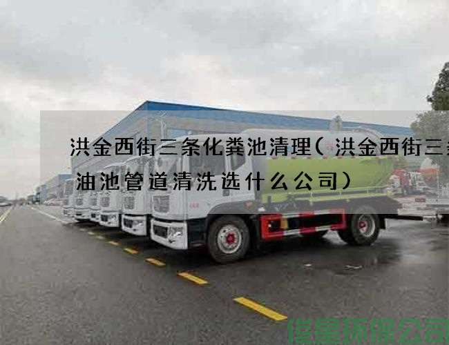 洪金西街三条化粪池清理(洪金西街三条废油池管道清洗选什么公司)