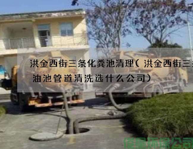 洪金西街三条化粪池清理(洪金西街三条废油池管道清洗选什么公司)