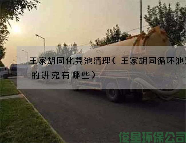 王家胡同化粪池清理(王家胡同循环池清理的讲究有哪些)