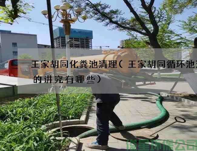 王家胡同化粪池清理(王家胡同循环池清理的讲究有哪些)