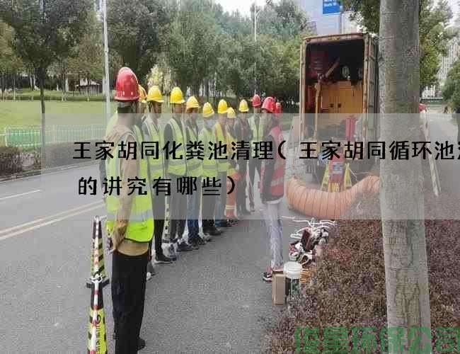 王家胡同化粪池清理(王家胡同循环池清理的讲究有哪些)