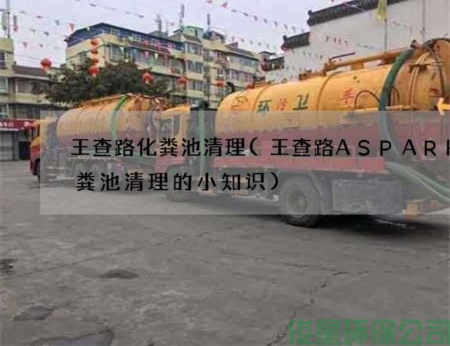 王查路化粪池清理(王查路ASPARK化粪池清理的小知识)
